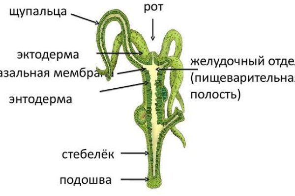 Кракен зеркало ссылка онлайн